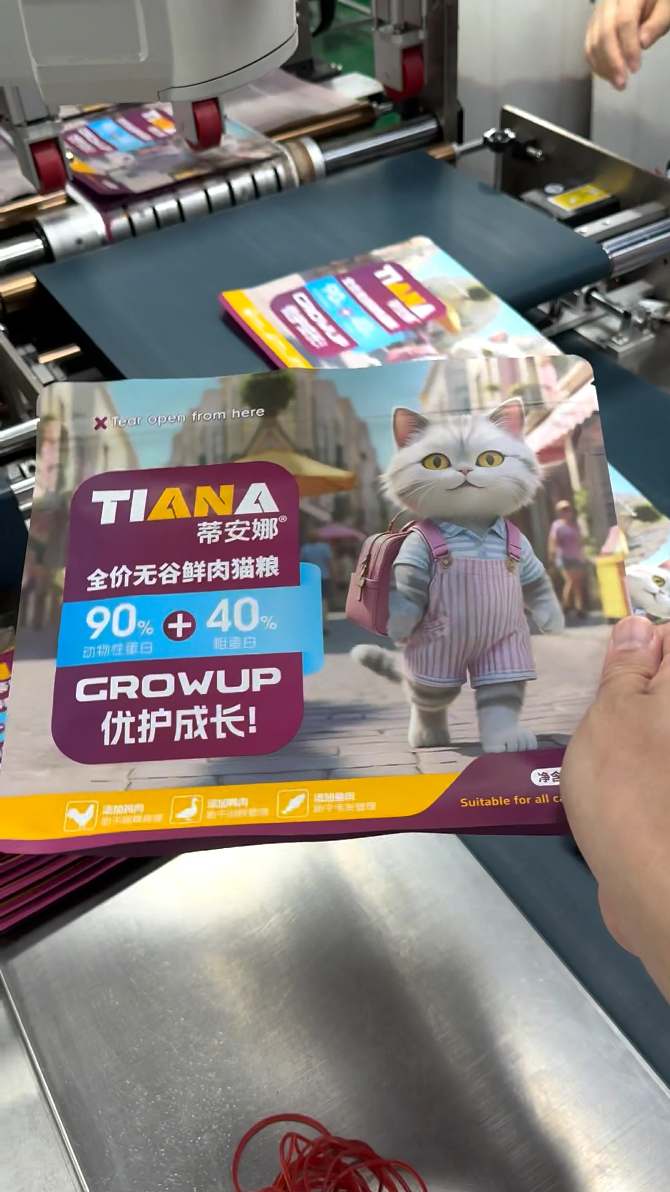 1kg Cat Food Flat Bottom Bag