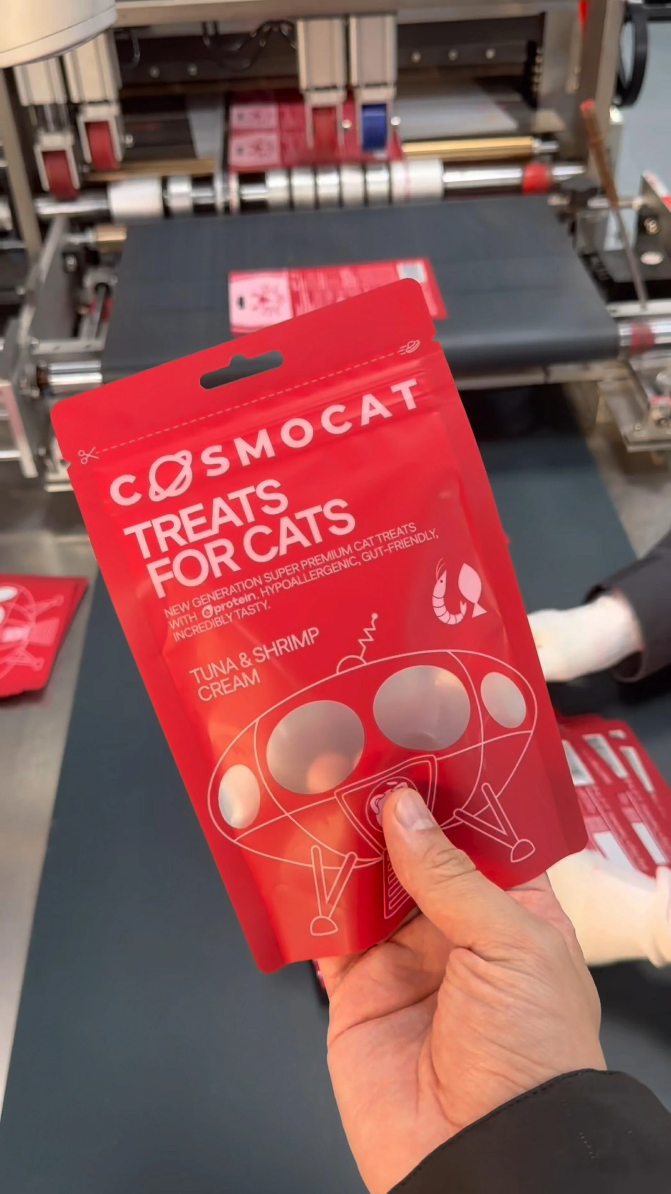 Cat Treats Flat Pouch with Window